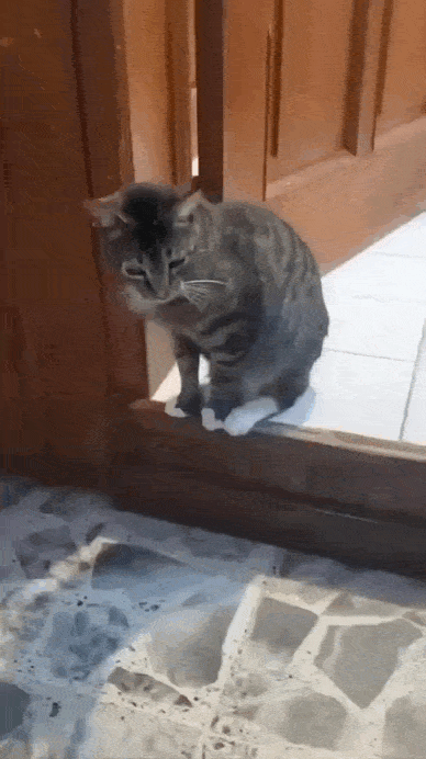 Просто гифки, всякие и&nbsp;разные