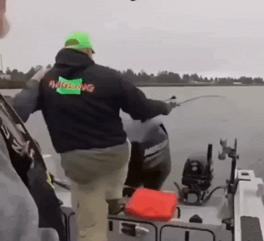 Просто гифки, всякие и&nbsp;разные