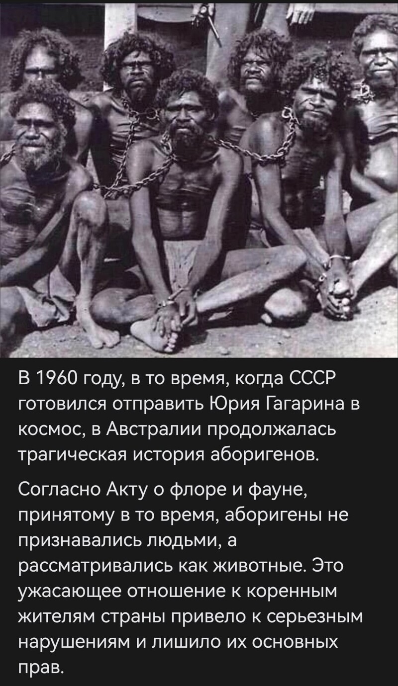 Политика , политика