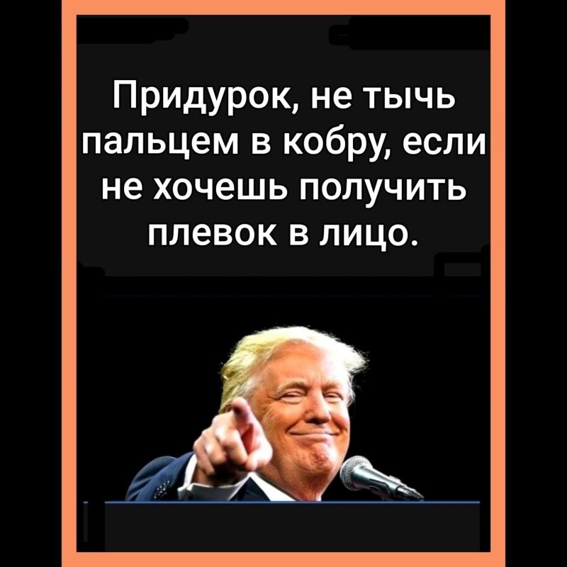 Политика , политика