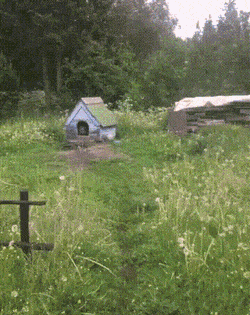 Просто гифки, всякие и&nbsp;разные