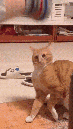 Просто гифки, всякие и&nbsp;разные