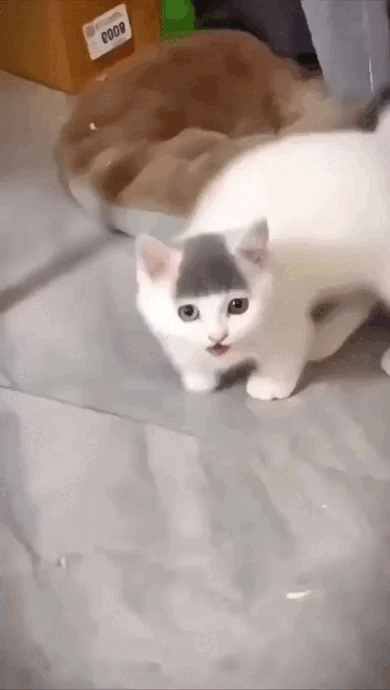 Просто гифки, всякие и&nbsp;разные