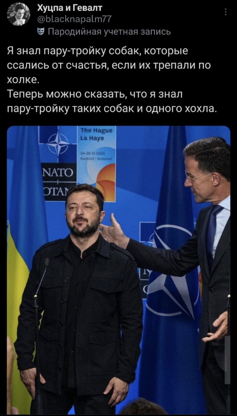 Лишь о политике