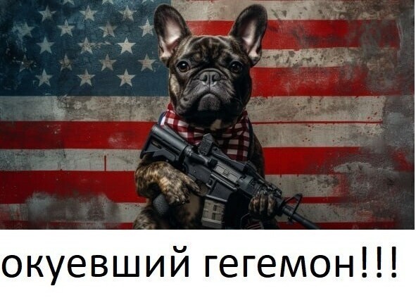 О политике и не только