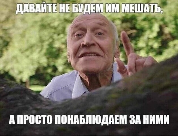 О политике и не только