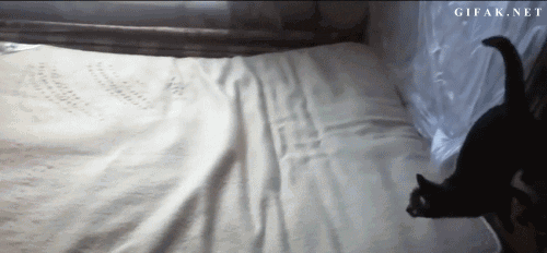 Просто гифки, всякие и&nbsp;разные