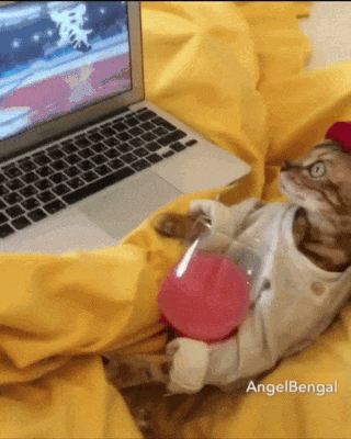 Просто гифки, всякие и&nbsp;разные