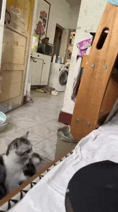 Просто гифки, всякие и&nbsp;разные