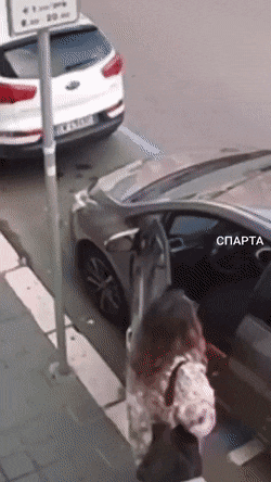 Просто гифки, всякие и&nbsp;разные