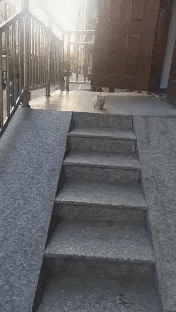 Просто гифки, всякие и&nbsp;разные