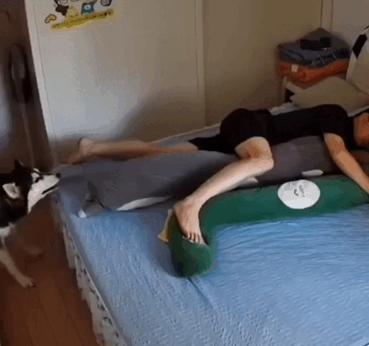 Просто гифки, всякие и&nbsp;разные