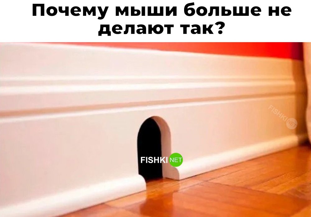 Не ищите здесь смысл. Здесь в основном маразм