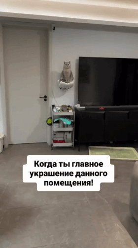Просто гифки, всякие и&nbsp;разные