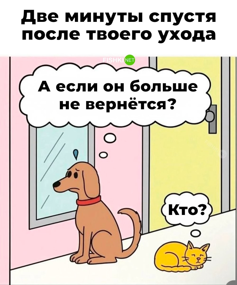 Не ищите здесь смысл. Здесь в основном маразм