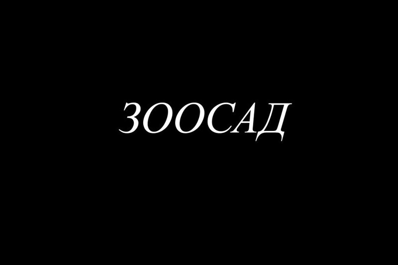 Кронверкский проспект