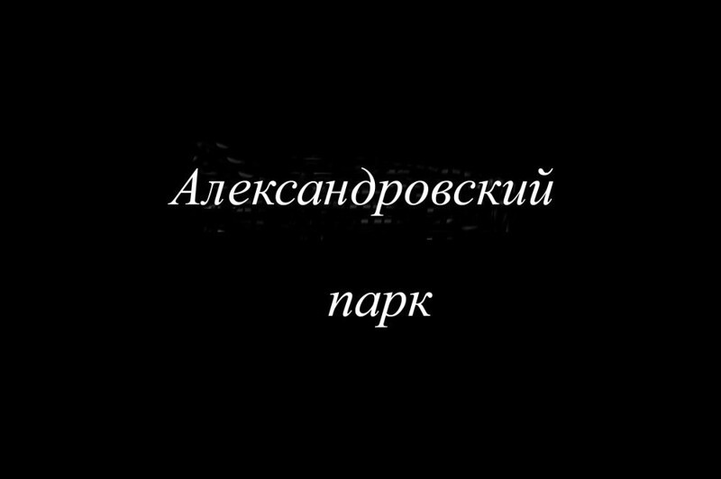 Кронверкский проспект