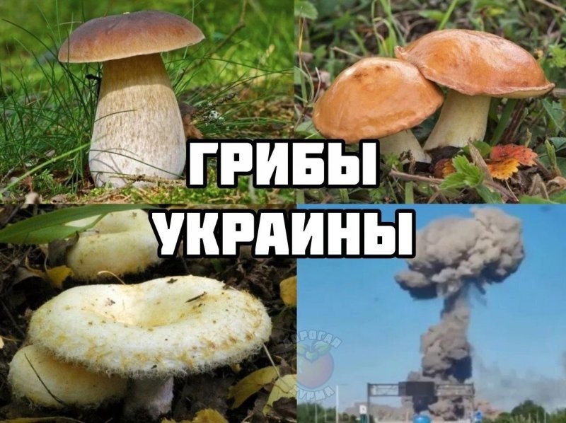 Политика , ох , политика