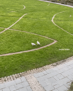 Просто гифки, всякие и&nbsp;разные