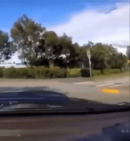 Просто гифки, всякие и&nbsp;разные