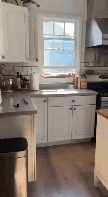 Просто гифки, всякие и&nbsp;разные