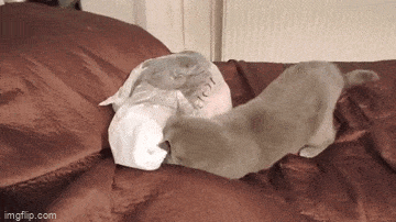 Просто гифки, всякие и&nbsp;разные