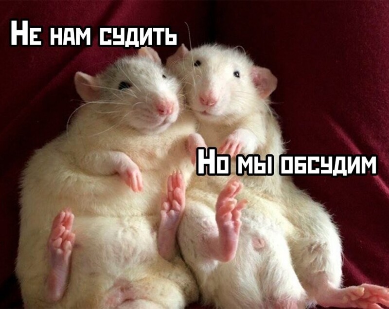 Ученые выяснили, как заставить мышей говорить