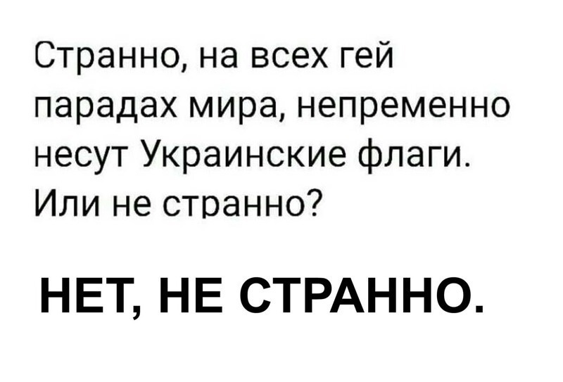 Лишь о политике , лишь о  ней одной
