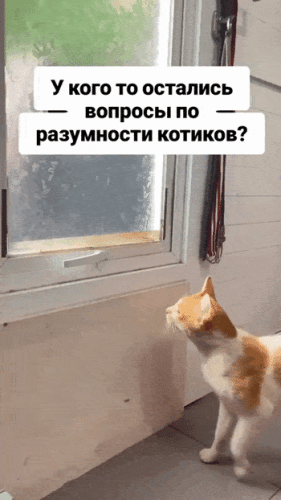 Просто гифки, всякие и&nbsp;разные