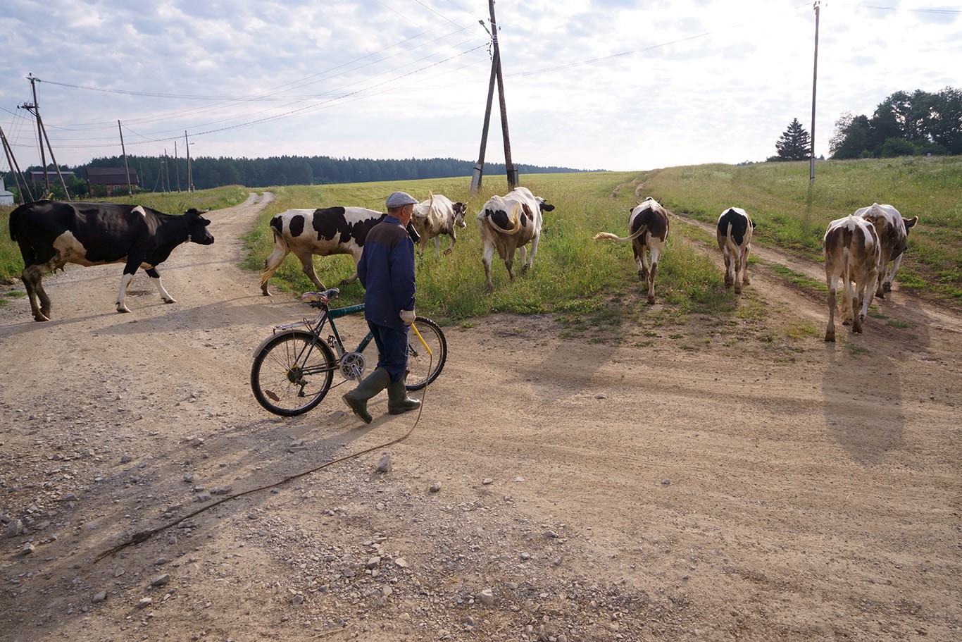 Ковбой.от Виктор
