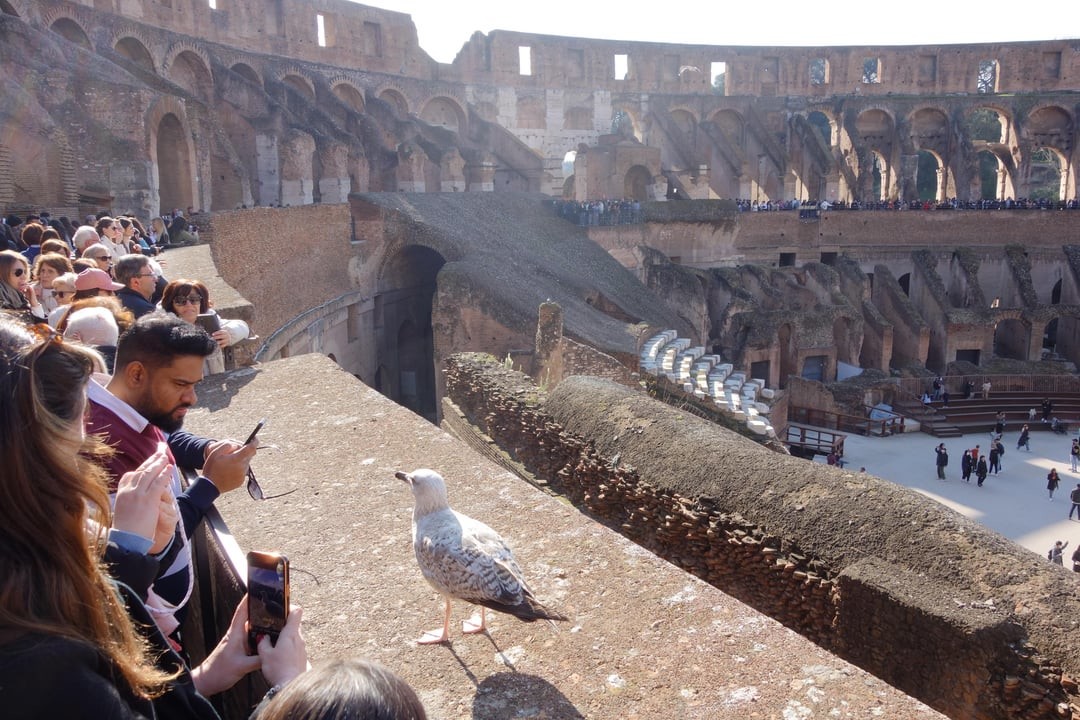 12. Рим, весна, современность