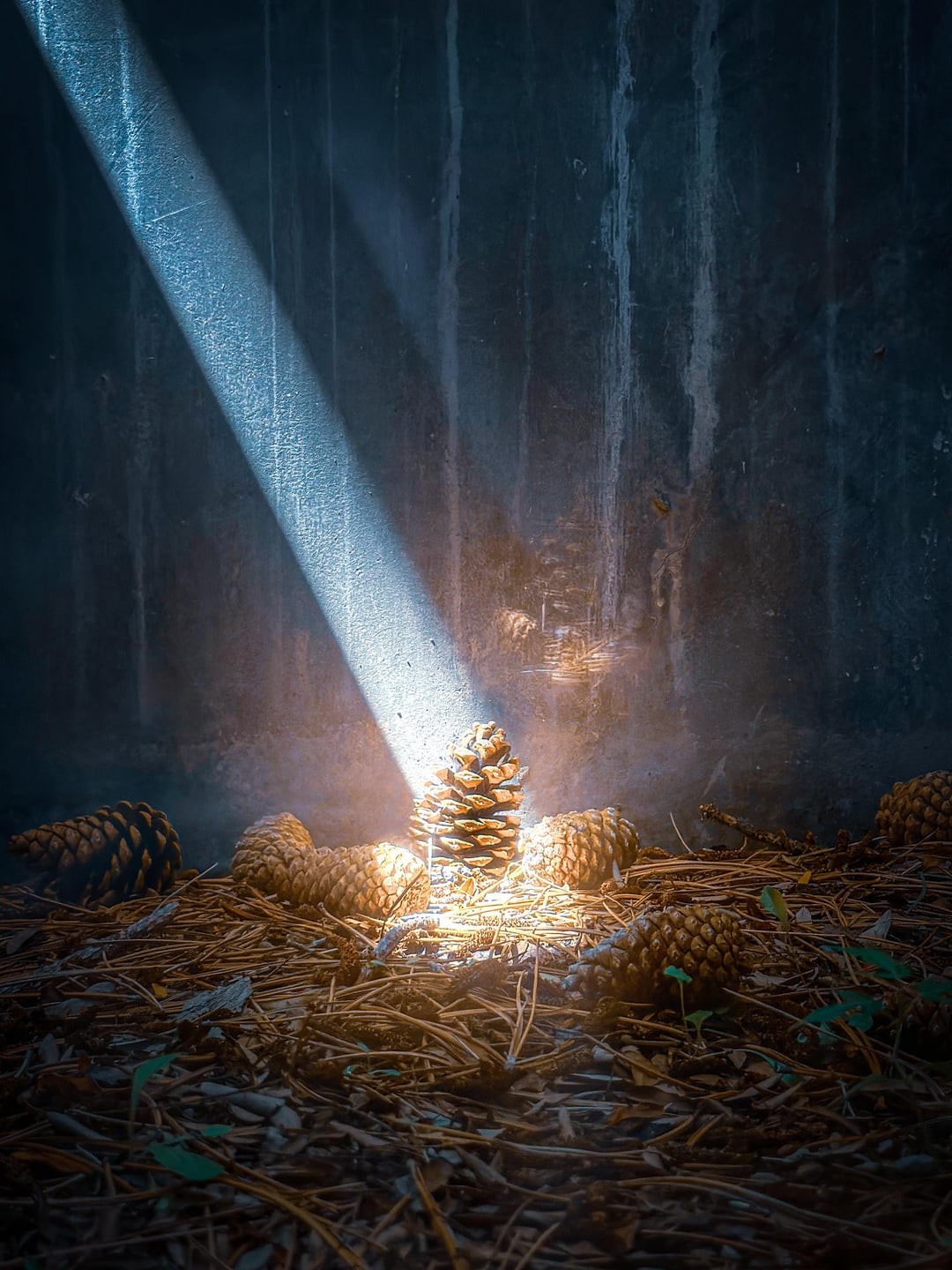 7. Простое чудо