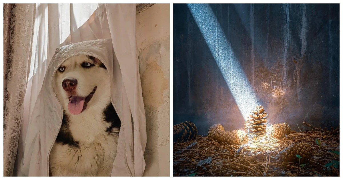 15 мгновений современности, которые поразительно похожи на полотна эпохи Ренессанса