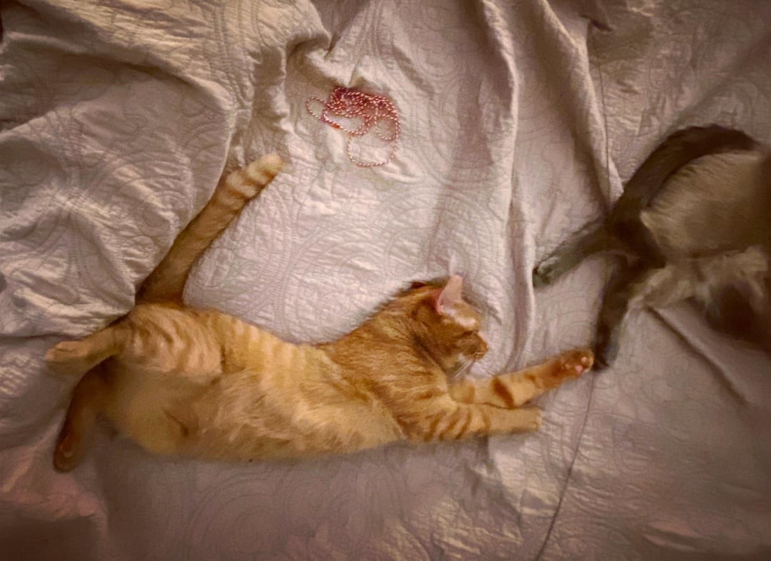 6. Шедевр Микеланджело и даже лучше