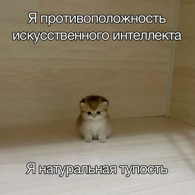 Не ищите здесь смысл. Здесь в основном маразм