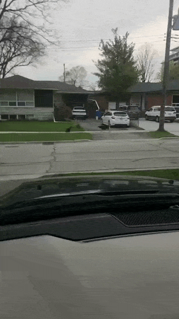 Просто гифки, всякие и&nbsp;разные