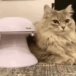 Просто гифки, всякие и&nbsp;разные