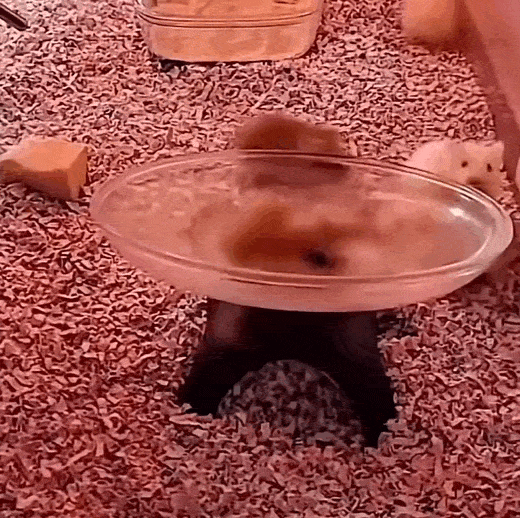 Просто гифки, всякие и&nbsp;разные