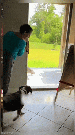 Просто гифки, всякие и&nbsp;разные