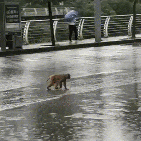 Просто гифки, всякие и&nbsp;разные