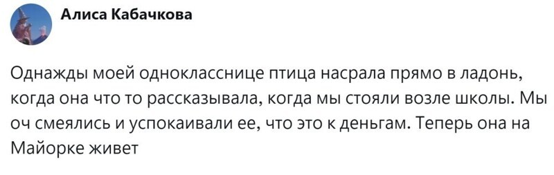 7. Где бы найти ту птицу?