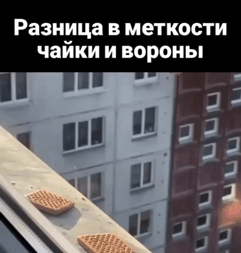 Просто гифки, всякие и&nbsp;разные