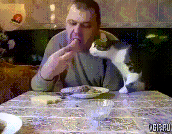 Просто гифки, всякие и&nbsp;разные
