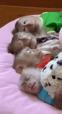 Просто гифки, всякие и&nbsp;разные