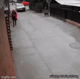 Просто гифки, всякие и&nbsp;разные