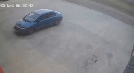 Просто гифки, всякие и&nbsp;разные