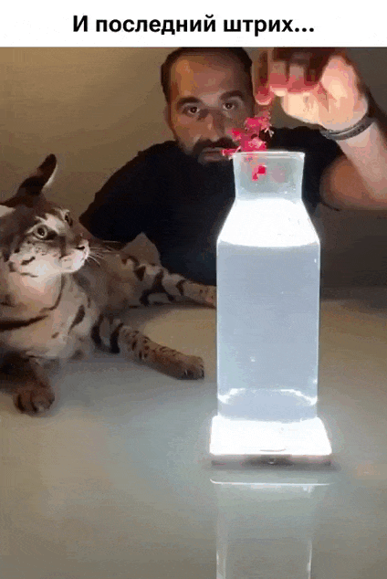 Просто гифки, всякие и&nbsp;разные