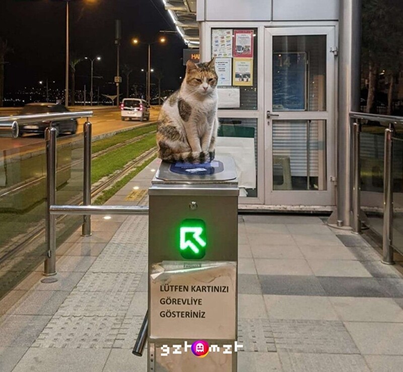 8. Не проходите мимо