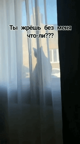 Просто гифки, всякие и&nbsp;разные