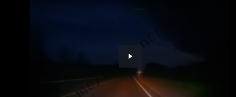 Неожиданная встреча с лосем на ночной дороге